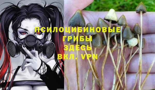 ALPHA-PVP Краснотурьинск